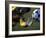 Goalie Attempting to Stop a Soccer Ball-null-Framed Photographic Print