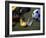 Goalie Attempting to Stop a Soccer Ball-null-Framed Photographic Print