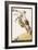 Goalkeeper Clears the Ball Away from the Striker's Head-null-Framed Art Print