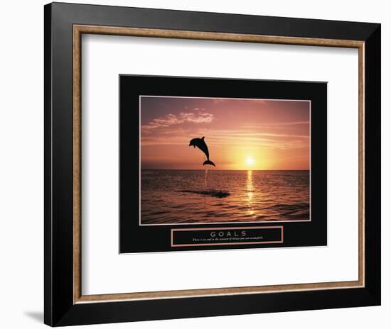 Goals - Dolphin-Unknown Unknown-Framed Photo