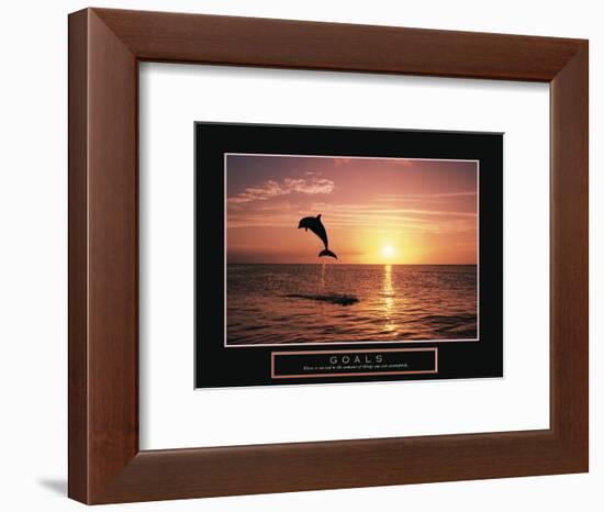 Goals - Dolphin-Unknown Unknown-Framed Photo