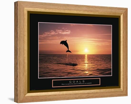 Goals - Dolphin-Unknown Unknown-Framed Stretched Canvas