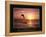 Goals - Dolphin-Unknown Unknown-Framed Stretched Canvas