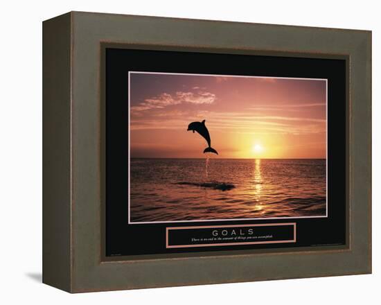 Goals - Dolphin-Unknown Unknown-Framed Stretched Canvas