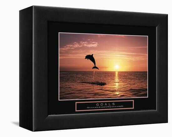 Goals - Dolphin-Unknown Unknown-Framed Stretched Canvas