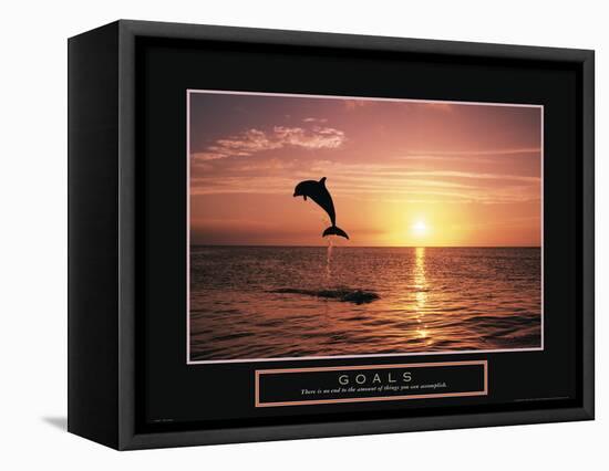 Goals - Dolphin-Unknown Unknown-Framed Stretched Canvas