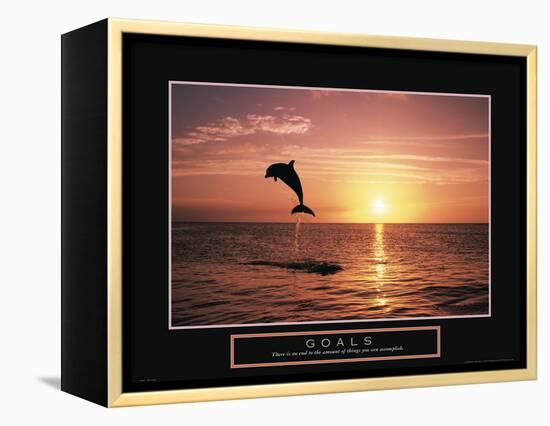 Goals - Dolphin-Unknown Unknown-Framed Stretched Canvas