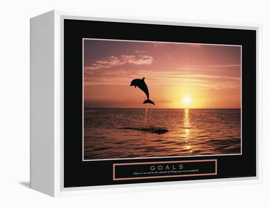 Goals - Dolphin-Unknown Unknown-Framed Stretched Canvas