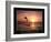 Goals - Dolphin-Unknown Unknown-Framed Photo