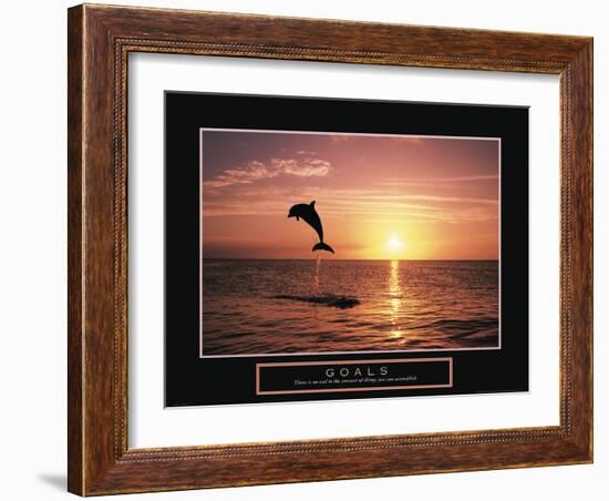 Goals - Dolphin-Unknown Unknown-Framed Photo