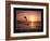 Goals - Dolphin-Unknown Unknown-Framed Photo