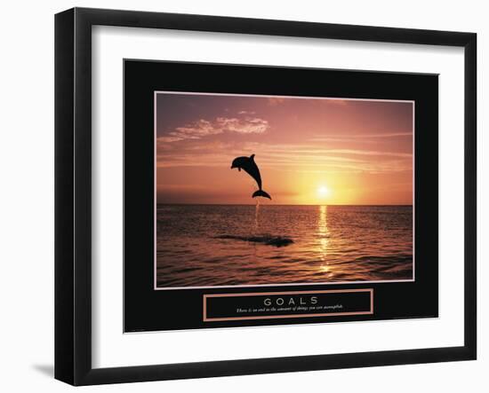 Goals - Dolphin-Unknown Unknown-Framed Photo