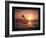 Goals - Dolphin-Unknown Unknown-Framed Photo