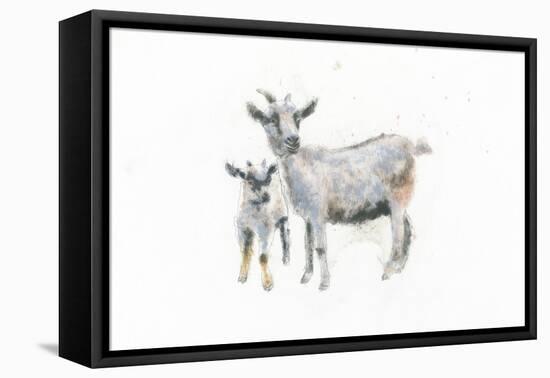 Goat and Kid-Emily Adams-Framed Stretched Canvas