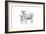 Goat and Kid-Emily Adams-Framed Art Print