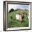 Goat Chickens and Farm-null-Framed Photographic Print