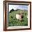 Goat Chickens and Farm-null-Framed Photographic Print