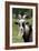 Goat Close-Up Head in Meadow-null-Framed Photographic Print
