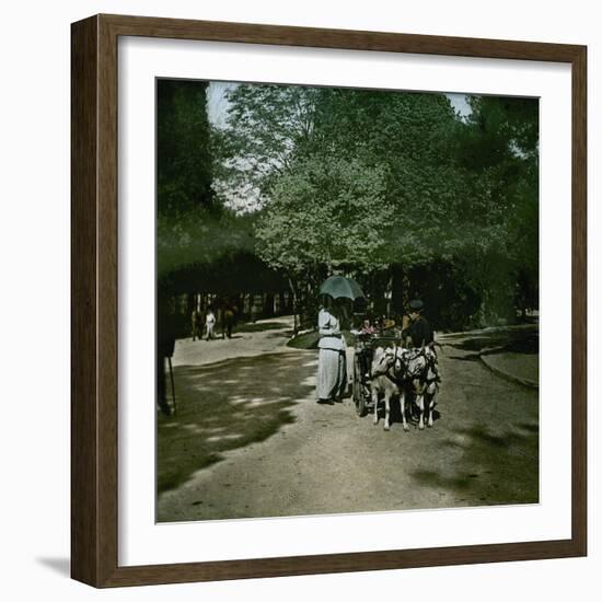 Goat-Drawn Carriage at the Jardin D'Acclimatation, Paris (XVIth Arrondissement), Circa 1895-Leon, Levy et Fils-Framed Photographic Print