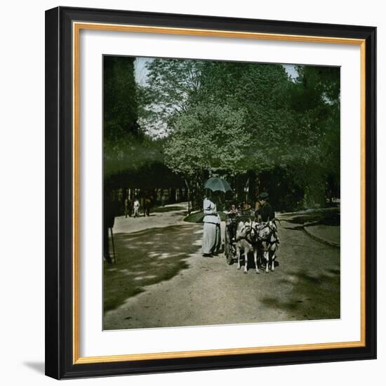 Goat-Drawn Carriage at the Jardin D'Acclimatation, Paris (XVIth Arrondissement), Circa 1895-Leon, Levy et Fils-Framed Photographic Print