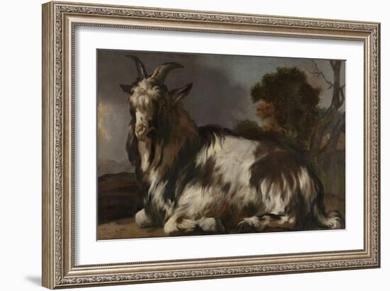 Goat Lying Down-Jan Baptist Weenix-Framed Art Print