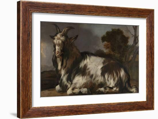 Goat Lying Down-Jan Baptist Weenix-Framed Art Print