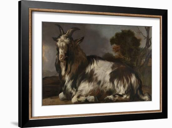 Goat Lying Down-Jan Baptist Weenix-Framed Art Print