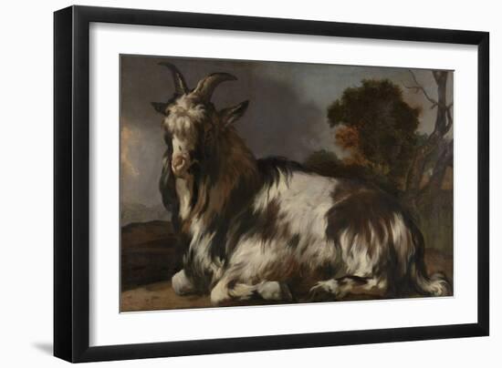 Goat Lying Down-Jan Baptist Weenix-Framed Art Print