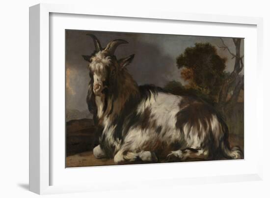 Goat Lying Down-Jan Baptist Weenix-Framed Art Print