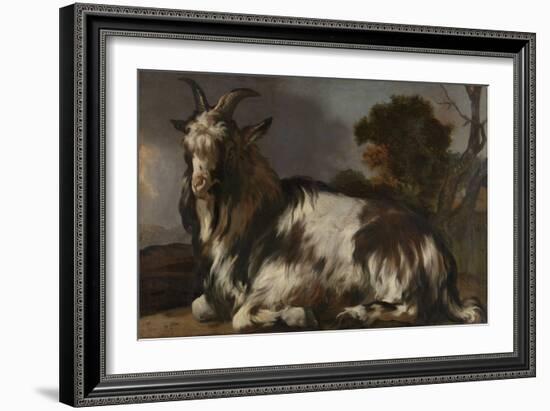 Goat Lying Down-Jan Baptist Weenix-Framed Art Print