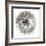 Goat's Beard 4-Jim Christensen-Framed Photographic Print