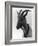 Goat Study-null-Framed Photographic Print