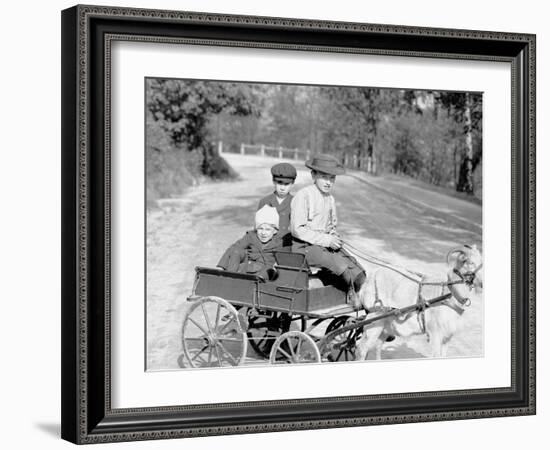 Goat Wagon in Eden Park, Cincinnati, Ohio-null-Framed Photo