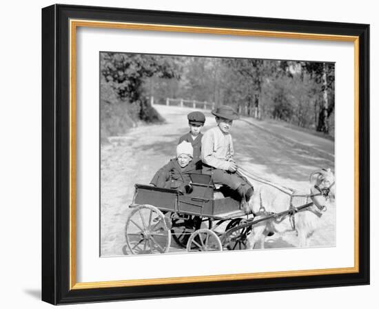 Goat Wagon in Eden Park, Cincinnati, Ohio-null-Framed Photo