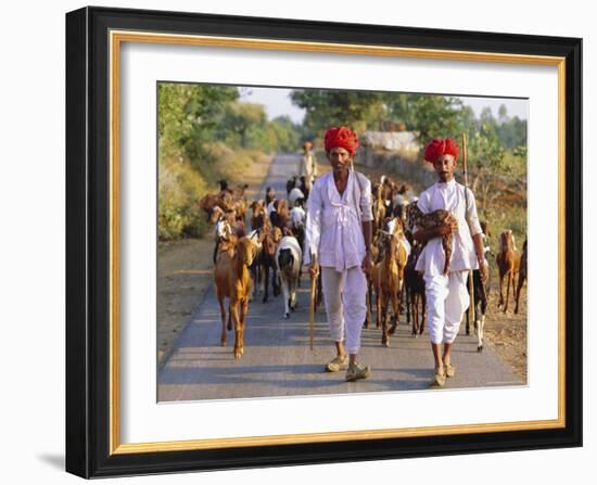 Goatherds, Bijaipur, Rajasthan, India, Asia-Bruno Morandi-Framed Photographic Print