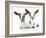 Goats 002-Andrea Mascitti-Framed Photographic Print