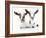 Goats 002-Andrea Mascitti-Framed Photographic Print