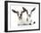 Goats 002-Andrea Mascitti-Framed Photographic Print