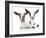 Goats 002-Andrea Mascitti-Framed Photographic Print