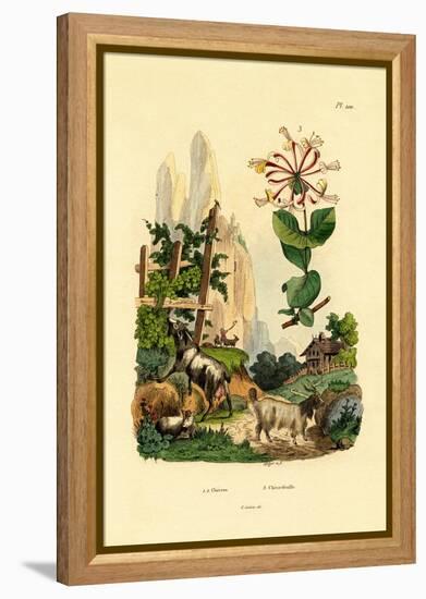 Goats, 1833-39-null-Framed Premier Image Canvas