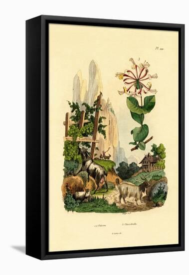 Goats, 1833-39-null-Framed Premier Image Canvas