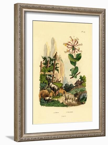 Goats, 1833-39-null-Framed Giclee Print