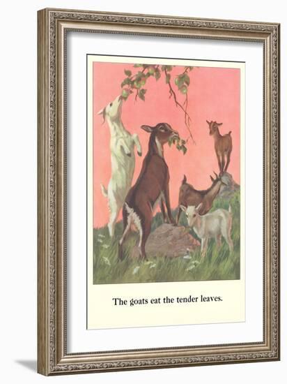 Goats Eat Tender Leaves-null-Framed Art Print