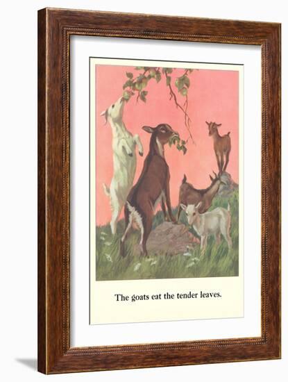 Goats Eat Tender Leaves-null-Framed Art Print