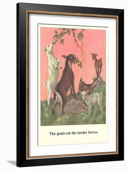 Goats Eat Tender Leaves-null-Framed Art Print