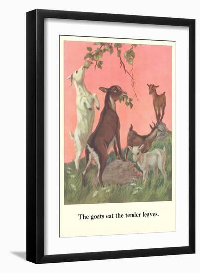 Goats Eat Tender Leaves-null-Framed Art Print