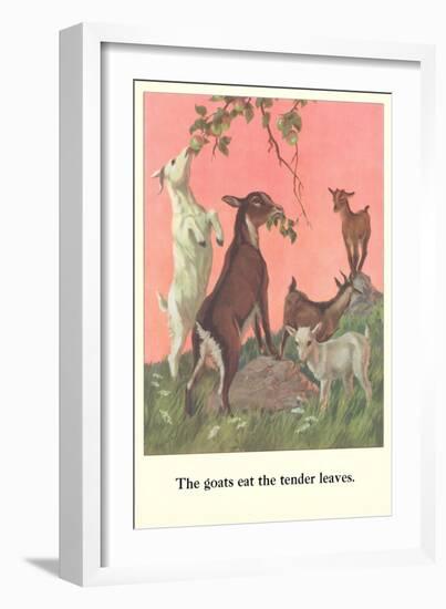 Goats Eat Tender Leaves-null-Framed Art Print