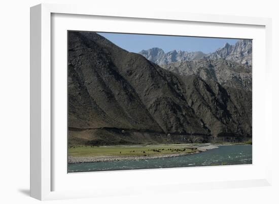 Goats graze along the riverbank of the Panjshir River in Afghanistan, Asia-Alex Treadway-Framed Photographic Print