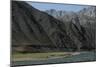 Goats graze along the riverbank of the Panjshir River in Afghanistan, Asia-Alex Treadway-Mounted Photographic Print