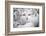 Goats in Andalucia, Spain, Europe-John Alexander-Framed Photographic Print